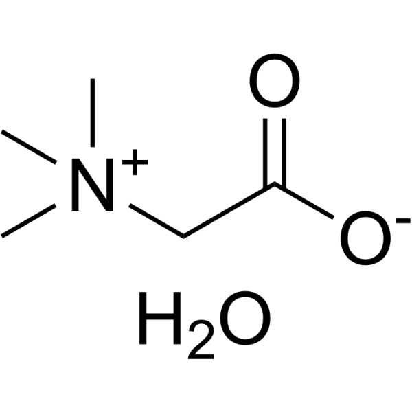 Betaine monohydrate 590-47-6